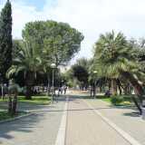 Da questo punto partono poi i viali che conducono in un�area rettangolare in cui protagonista � il verde. Qui piante esotiche quali palme, libocedri, bagolari e acacie...